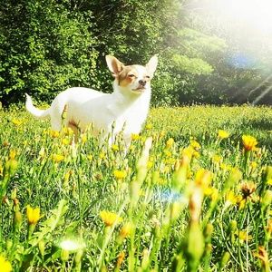 Meet your Posher, William